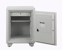 Load image into Gallery viewer, Ayoubi Fire Resistant Safes - Model No. ES 065 - Ayoubi Steel Furniture Factory